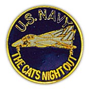 CATS NIGHT OUT PIN  