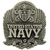 NAVY EAGLE PIN  