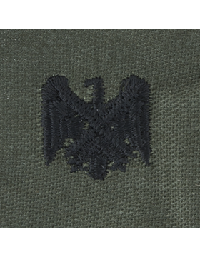 Army Officer Branch Insignia: National Guard - Subdued Sew On