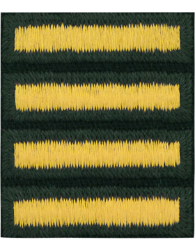 Class A Female Overseas Bars Gold Embroidered On Green