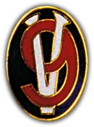 95TH DIV PIN  