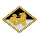 Army Combat Service Identification Badge: 266th Finance Command