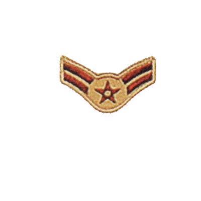 AIRMAN 1ST CLASS    