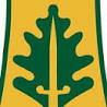 Army Combat Service Identification Badge: 333rd Military Police Brigade