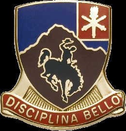 213 REG WY ANG  (DISCIPLINA BELLO)   