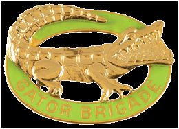 53 INF BDE  (GATOR BRIGADE)    