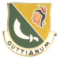 306 MP BN  (QUTTIANUM)   