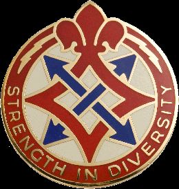 193 SPT BN  (STRENGTH IN DIVERSITY)   