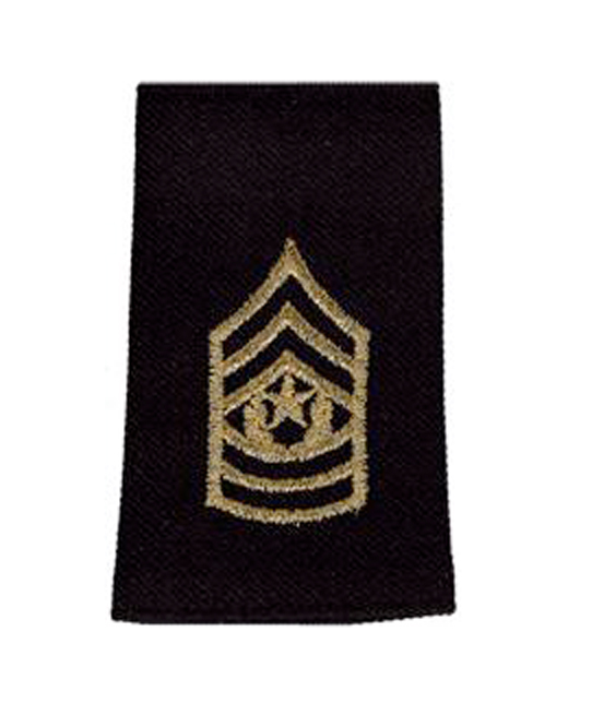 COMMAND SERGEANT MAJOR LARGE     