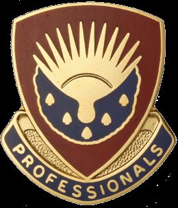 412 SUPPORT BN  (PROFESSIONALS)   