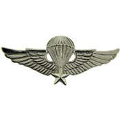 JUMP WINGS PIN  