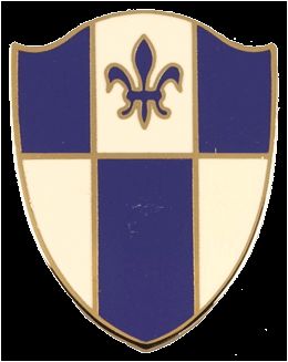 345 REGIMENT  (NO MOTTO)   