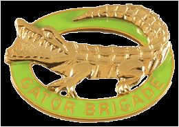 53 INF BDE  (GATOR BRIGADE)    