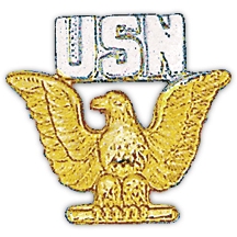 USN EAGLE PIN  