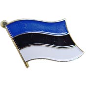 ESTONIA FLAG PIN 1"  