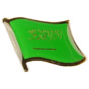 SAUDI ARABIA FLAG PIN 1"  