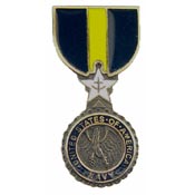 NAVY DSM MEDAL-PIN 1-1/8"  