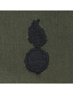 Army Officer Branch Insignia: Ordnance - Subdued Sew On     