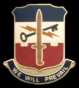 41 INF BCT SPL TRP BN  (WE WILL PREVAIL)   