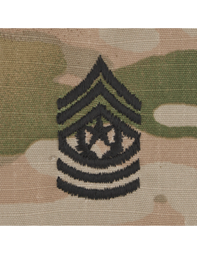 Cmd Sgt Major - E-9