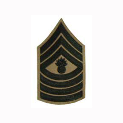 Female - Master Gunnery Sergeant (E9) - Green/Khaki  