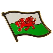 WALES FLAG PIN 1"  