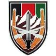 Army Combat Service Identification Badge: Army Element United States Forces - Afghanistan