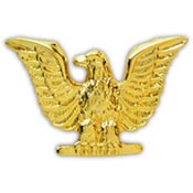 NAVY EAGLE PIN  