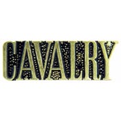 CALVARY SCRIPT PIN  