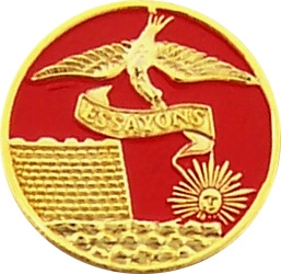 ENGINEER ESSAYONS PIN  