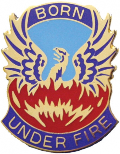 128 AVN BDE  (BORN UNDER FIRE)   