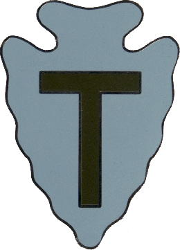 Army Combat Service Identification Badge: 36th Infantry Division