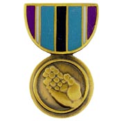 HUMANITARIAN SERVICE MEDAL-PIN 1-1/8"  