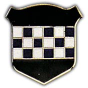 99TH INFANTRY DIVISION PIN  