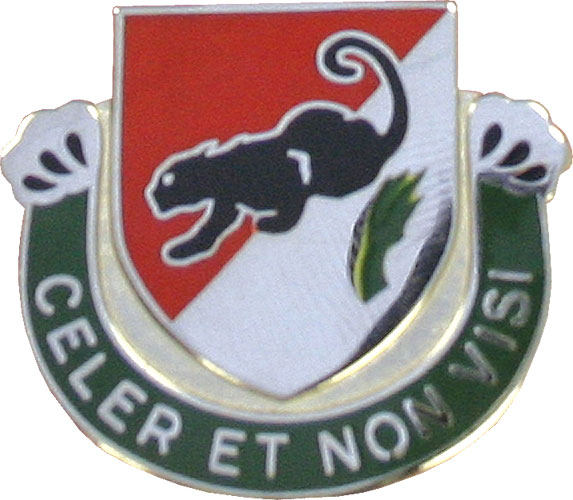 31 CAV REGT  (CELER ET NON VISI)   