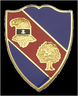 354 REGT BCT USAR  (NO MOTTO)   