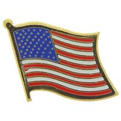 US FLAG PIN  