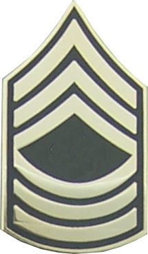 USA MASTER SERGEANT E-8 PIN  