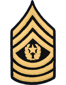 Male Chevron Gold/Blue Command Sergeant Major/E-9    