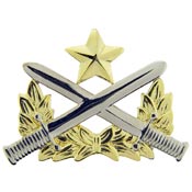 RANGER BADGE PIN  