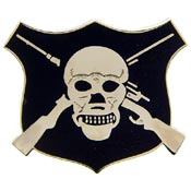 SKULL WITH CROSS RIFLES PIN  