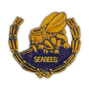 SEABEES PIN  