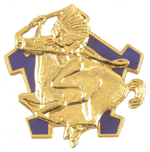 9 CAVALRY  (NO MOTTO)   