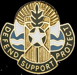 786 QM BN ARNG VI  (DEFEND SUPPORT PROTECT)   