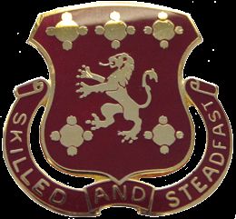 704 SUPPORT BN  (SKILLED AND STEADFAST)   