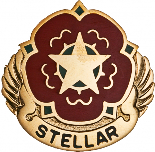 206 SUPPORT BN  (STELLAR)   