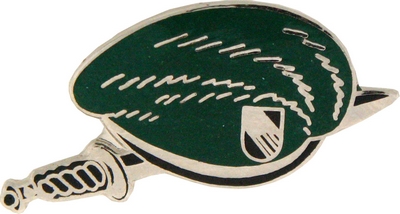 GREEN BERET PIN  