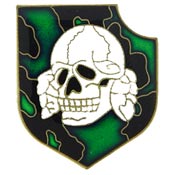 GERMAN CAMO SKULL PIN  