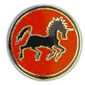 USN BLACK PONNIES PIN  