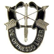 US ARMY SPECIAL FORCES PIN  